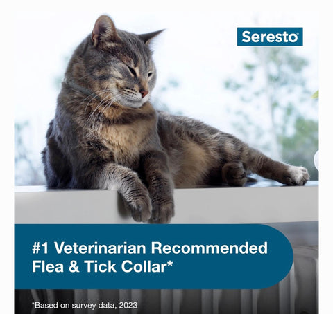 Seresto Flea & Tick Collar for Cats, 1 Collar (8-mos. supply)