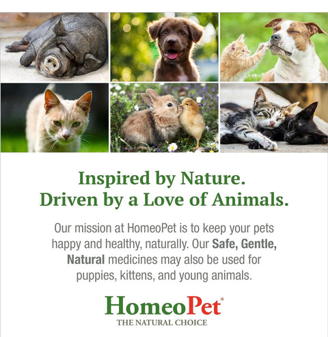 HomeoPet Feline Nose Relief, Natural Nasal and Sinus Medicine for Cats, Pet Medicine, 15 Milliliters