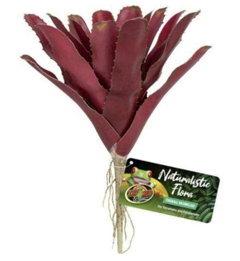 Zoo Med Fireball BROMELIAD,