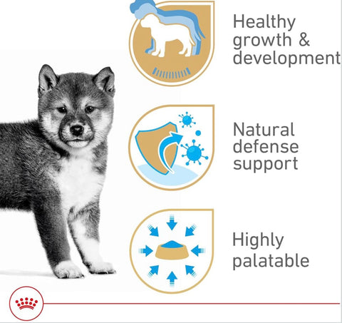 Royal Canin Canine Health Nutrition Puppy Loaf in Sauce Dog Food, 5.2 oz