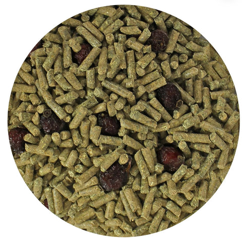 CHINCHILLA DIET W ROSE HIPS CHINCHILLA FOOD 2 lbs