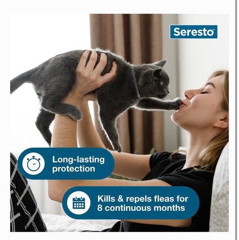Seresto Flea & Tick Collar for Cats, 1 Collar (8-mos. supply)