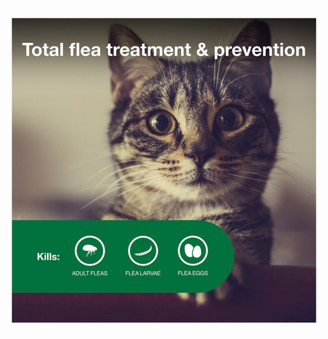 Advantage II Flea Spot Treatment for Cats, 5-9 lbs, 2 Doses (2-mos. supply)