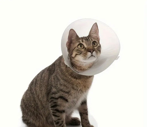 Adjustable Striped Elizabethan Collar for Pets - Lick-Proof Protective Headgear for Cats & Dogs Post-Surgery - For Pets Recovering from Surgery - Suitable for Cats & Dogs