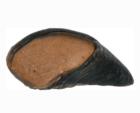 Redbarn Peanut Butter Filled Cow Hooves Dog Treats, 4-in chew, 1 count
By Redbarn