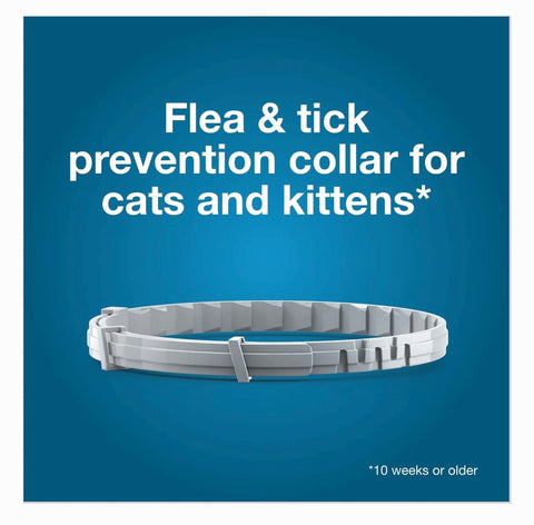 Seresto Flea & Tick Collar for Cats, 1 Collar (8-mos. supply)