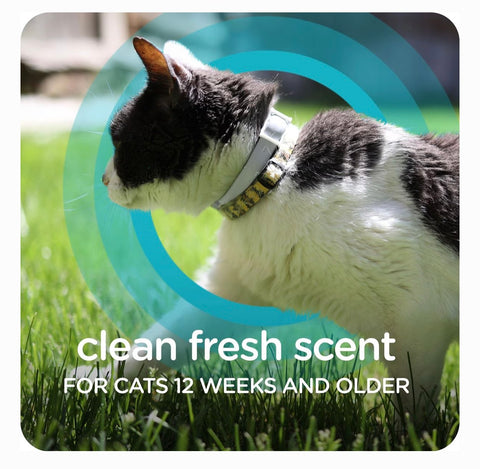 Sergeant's Guardian Pro Flea & Tick Cat Collar
