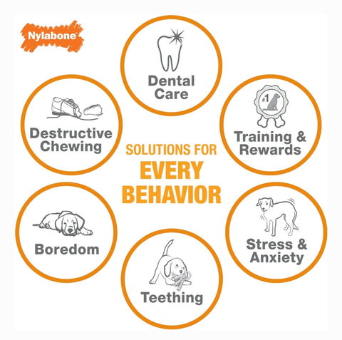 Nylabone Power Chew Durable Dog Toy Chicken, Small