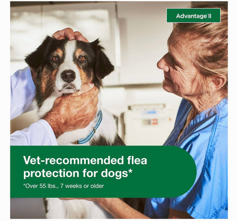 Advantage II Flea Spot Treatment for Dogs, over 55 lbs, 6 Doses (6-mos. supply)