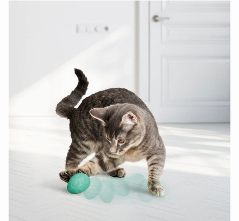 KONG Infused Catnip Egg Cat Toy, 2 count
By KONG