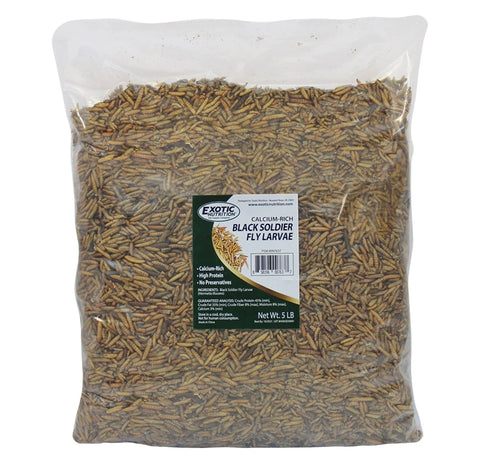 Dried Black Soldier Fly Larvae 5 lbs
