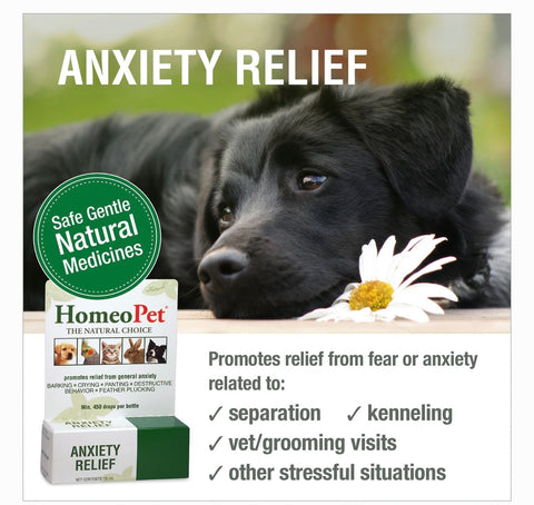 HomeoPet Anxiety Relief Dog, Cat, Bird & Small Animal Supplement, 450 drops,15-ml
By HomeoPet