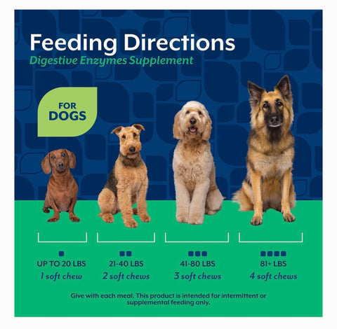 NaturVet Digestive Enzymes Plus Probiotic Soft Chews Digestive Supplement for Dogs, 70 count