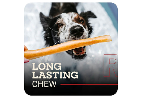 Redbarn Pet Products All-Natural Large 12" Beef Collagen Sticks for Dogs - Long Lasting Low-Odor Alternative to Traditional Rawhide & Bully Sticks - Supports Healthy Joints, Skin, & Coat - 3 Pack