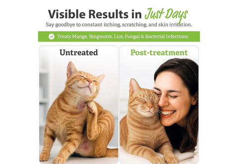Vet Basics Lime Sulfur Dip – Skin Itch Relief Concentrated Antimicrobial & Antiparasitic Solution for Dogs, Cats, Puppies, Kittens & Horses, Helps Manage Ringworm, Mange, Skin Irritation, 16oz