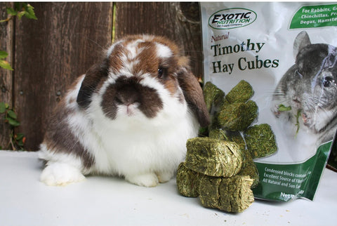 Timothy Hay Cubes Rabbit & Guinea 1 lbs