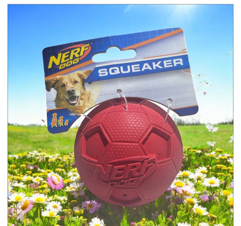 nerf dog squeake ball