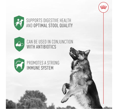 Royal Canin Probiotics for Dogs Digestive and Immune Health Powder Supplement for Dogs of All Ages, 7 Count