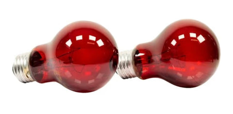 Zoo Med Nightlight Reptile Bulb, 60-watt, Red 2 pack