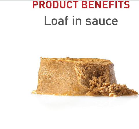 Royal Canin Canine Health Nutrition Puppy Loaf in Sauce Dog Food, 5.2 oz