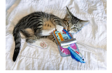 KONG Crackles Cat Toy – Crinkle Sounds, with Catnip, and Treat-Hiding Fun (Sardine Tin)