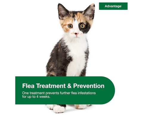 Advantage Topical Cat Flea Treatment and Prevention for Small Cats 2-9 lbs. | Apply Flea Drops Monthly | 2 Treatments