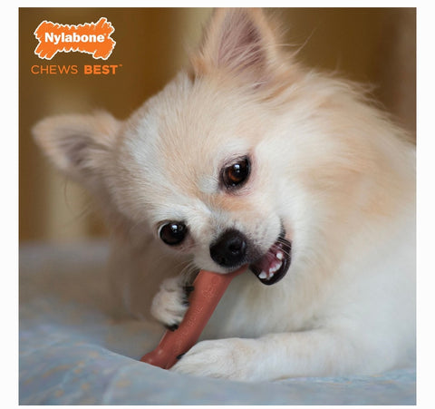 Nylabone Power Chew Durable Dog Toy Bacon, X-Small