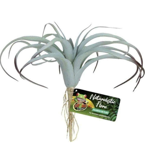 Zoo Med Naturalistic Flora, Tillandsia Air Plant