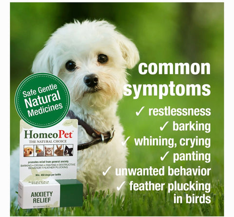 HomeoPet Anxiety Relief Dog, Cat, Bird & Small Animal Supplement, 450 drops,15-ml
By HomeoPet