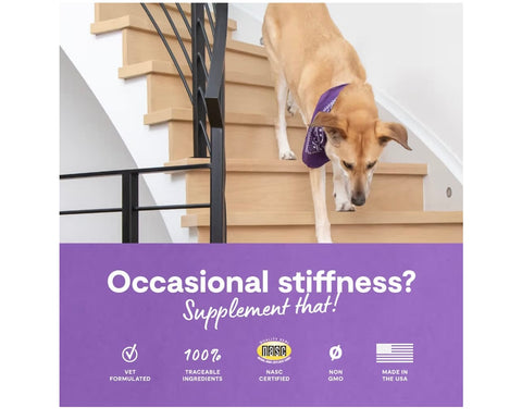 Open Farm Hip & Joint Chews, Dog Supplement, Dog Vitamins, Supports Joint Health and Mobility Using Traceable and Vet-Approved Ingredients, 12.7 oz, 90 Count