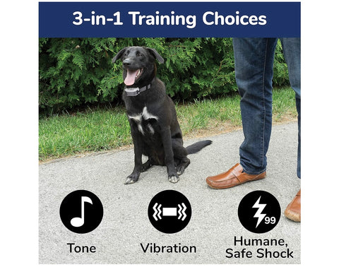 FreeSpirit Dog Training Collar with Remote - Waterproof - Rechargeable - With Tone, Vibration & Static - For Small & Large Dogs
