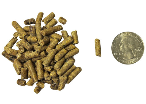 exotic nutrition DELUXE SQUIRREL DIET 2 LB. SQUIRREL FOOD