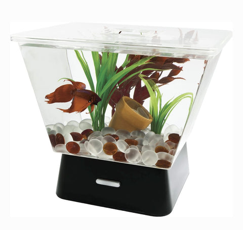 Tetra LED Betta Tank, 1-gal