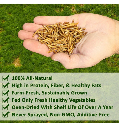 Mealworm Pie 2.86 oz