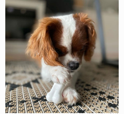 Nylabone Power Chew Durable Dog Toy Chicken, Small