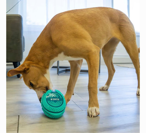KONG Licks Rewards Dog Treat Dispensers Toy, Green, Medium/Large