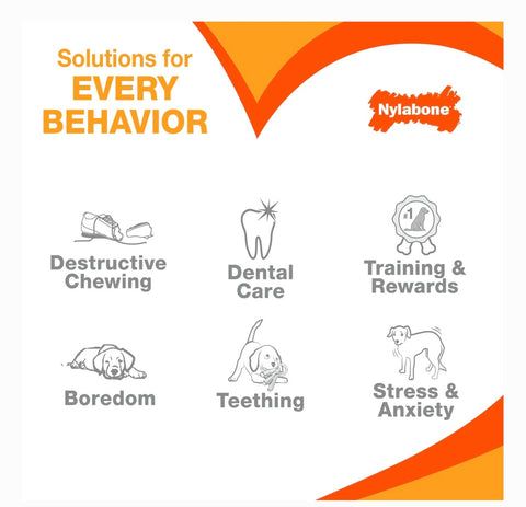 Nylabone Puppy Teething & Soothing Flexible Chicken Flavor Chew Dog Toy Blue, X-Small