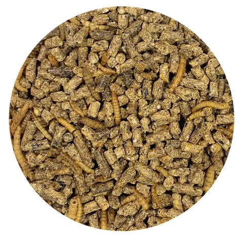 Hedgehog Complete Hedgehog Food 2 lbs
