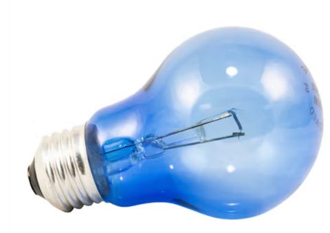 Zoo Med Daylight Blue Reptile Bulb - 60 Watt