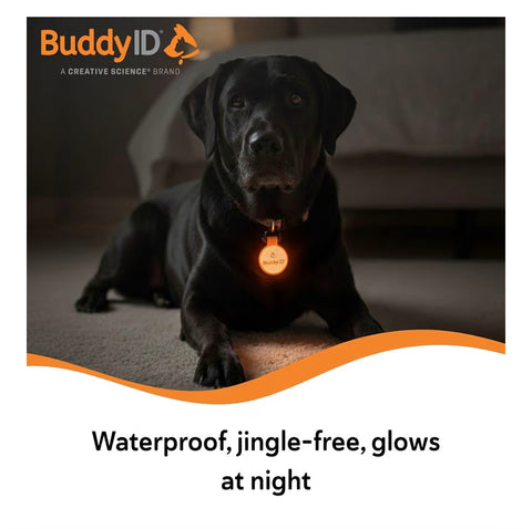 BuddyID BuddyBadge Silicone Pet Collar Tag with QR Code, Waterproof and Jingle-Free, Glow-in-the-Dark, Includes Lifetime Registration and Customizable Digital Profile, 1 ct