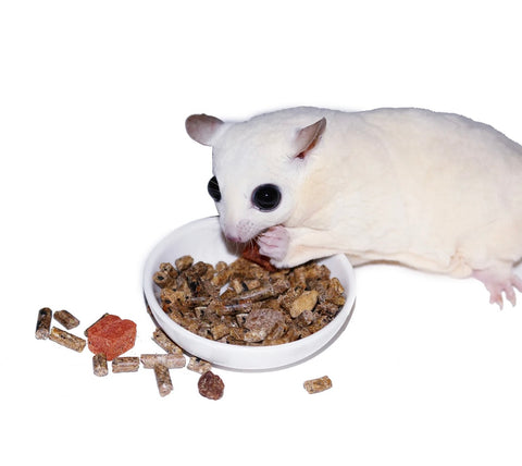 GLIDER COMPLETE SUGAR GLIDER FOOD 2 lbs
