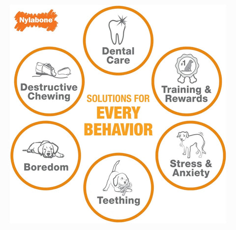 Nylabone Power Chew Durable Dog Toy Bacon, X-Small