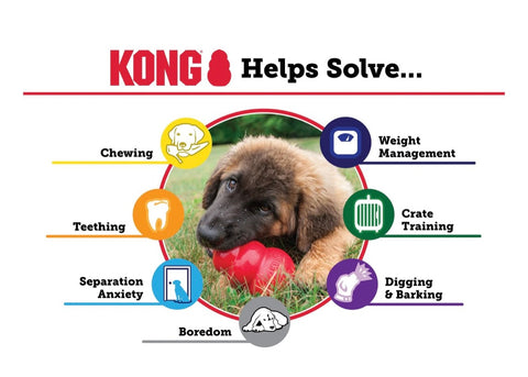 KONG Classic Dog Toy medium size