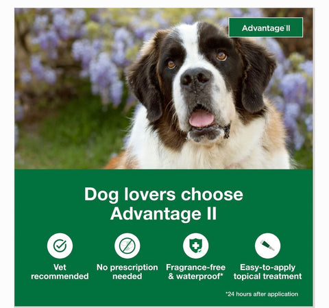 Advantage II Flea Spot Treatment for Dogs, over 55 lbs, 6 Doses (6-mos. supply)