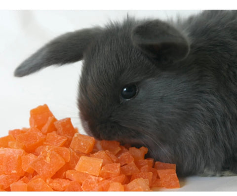 PAPAYA & PINEAPPLE TREAT8 oz