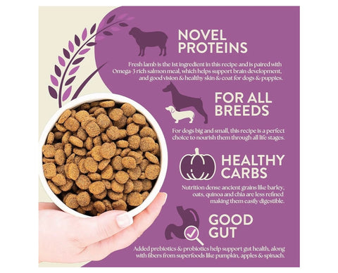 Earthborn Holistic Unrefined Roasted Lamb Recipe with Ancient Grains & Superfoods Dry Dog Food (4 Pounds)