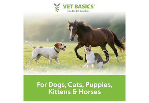 Vet Basics Lime Sulfur Dip – Skin Itch Relief Concentrated Antimicrobial & Antiparasitic Solution for Dogs, Cats, Puppies, Kittens & Horses, Helps Manage Ringworm, Mange, Skin Irritation, 16oz
