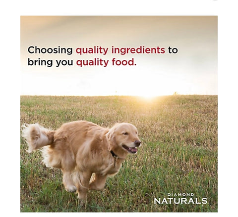 Diamond Naturals Skin & Coat All Life Stages Dog Salmon & Potato Formula Dry Dog Food 30 lbs