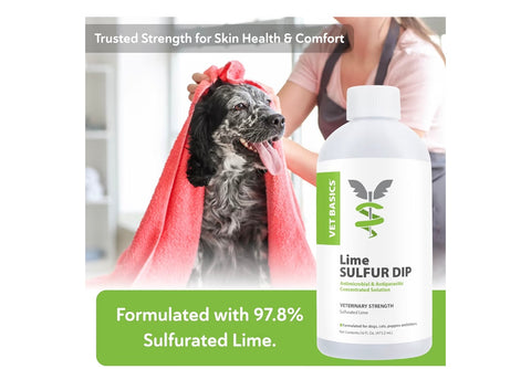 Vet Basics Lime Sulfur Dip – Skin Itch Relief Concentrated Antimicrobial & Antiparasitic Solution for Dogs, Cats, Puppies, Kittens & Horses, Helps Manage Ringworm, Mange, Skin Irritation, 16oz