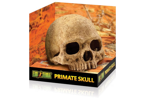 Exo Terra Primate Skull Terrarium D